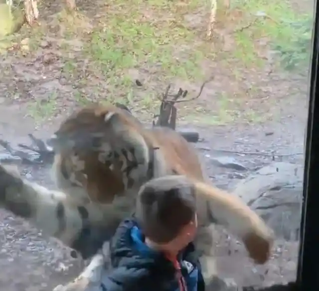 This kid is never going to forget his trip to the zoo