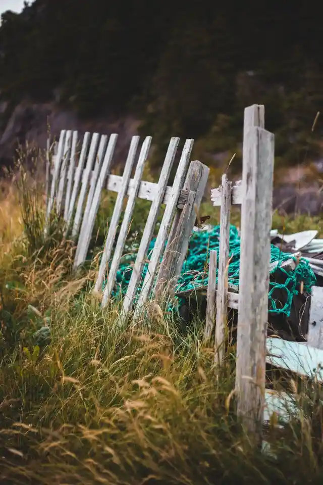 36. Dug Their Own Grave