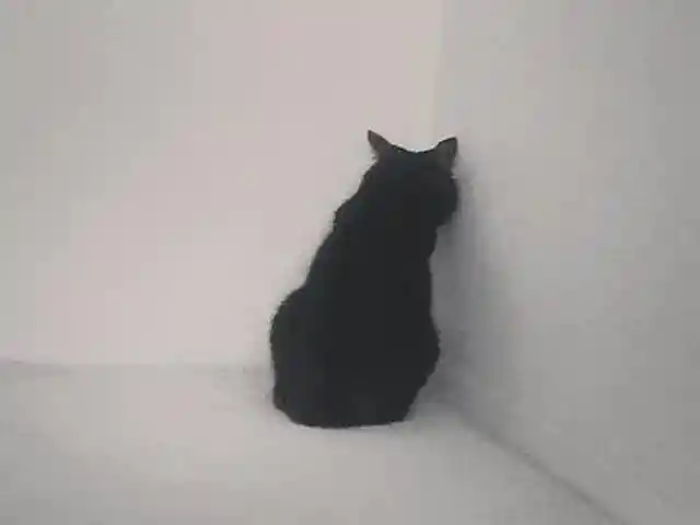 Back To The Usual Spot