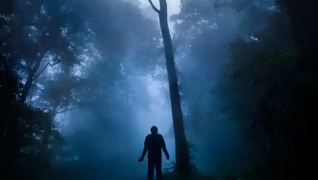 2 Years After Mom Vanishes, Hiker Spots Lumps On Tree