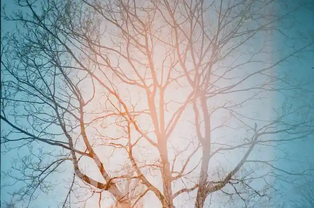 33. Rule-Bound Hurdles Galore