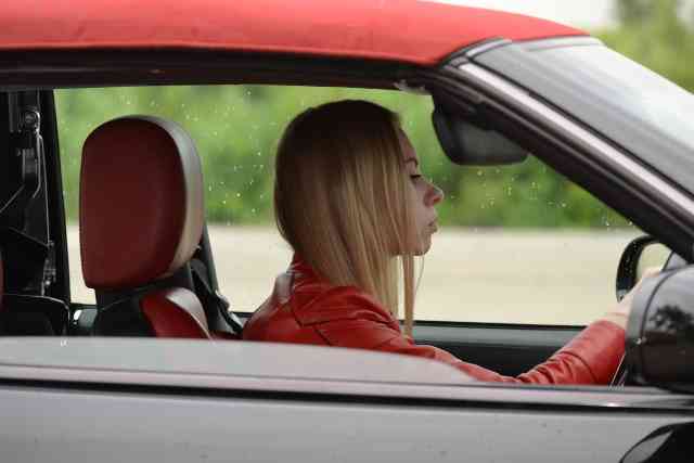 29. Driving Lesson