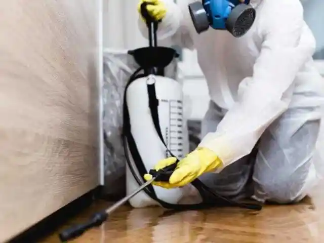 Calling In The Professionals