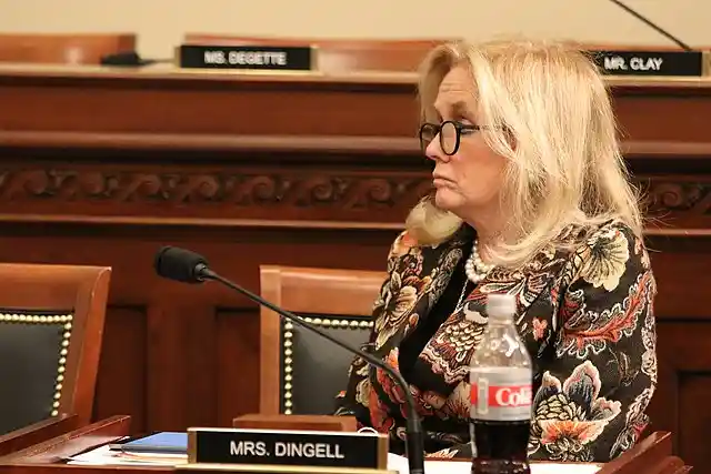 WATCH: Dem. Rep Dingell Tears Into Trump's 'Pathetic' Christmas Message