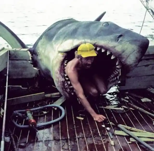 The Shark In 'Jaws' Was Named 'Bruce,' After Steven Spielberg's Lawyer