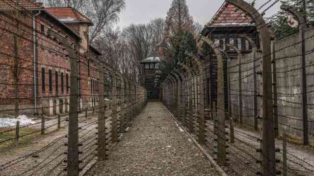 Auschwitz Memorial Excoriates Elon Musk's X for Holocaust Denial Content