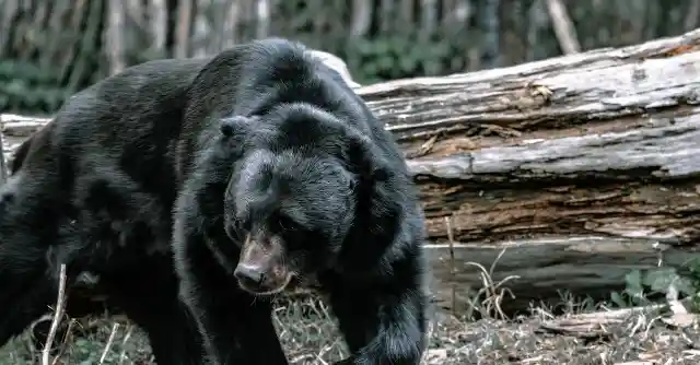 How To Deal With Them