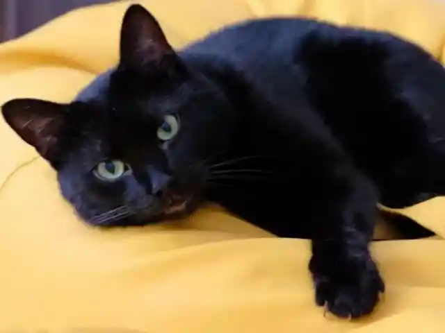 Welcome Home, Lawrence