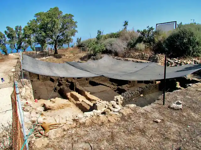 The Find of a Century