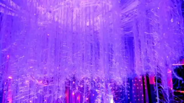 A School Transformed