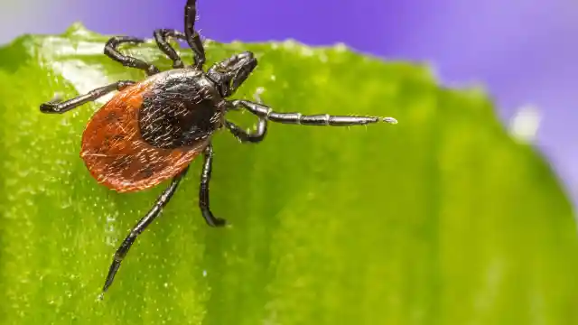 Coming Up With A Plan