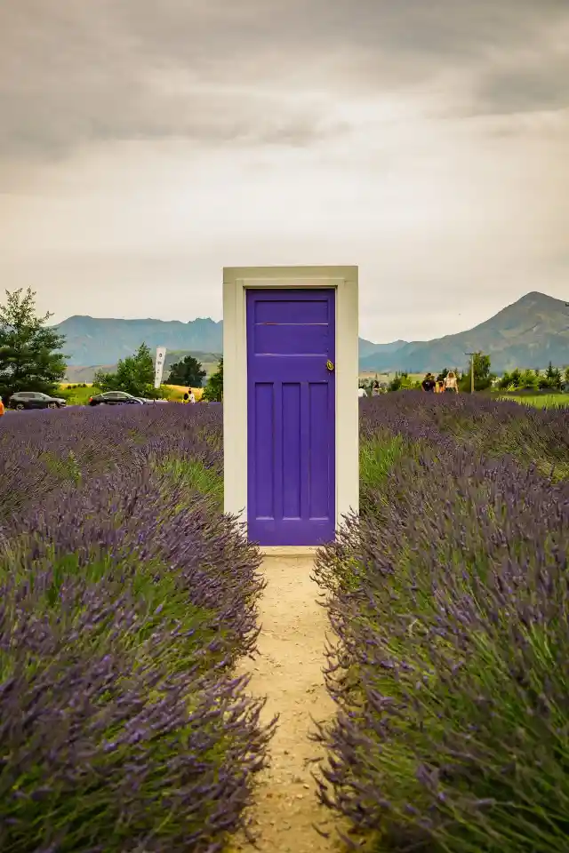 7. Purple Door Standoff