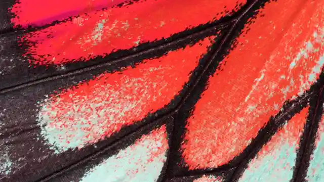 Calling A Professional