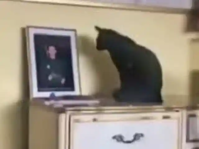 The Strange Behavior