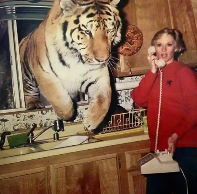 Tippi Hedren and her tiger Gregory on the set of her film, Roar 1981