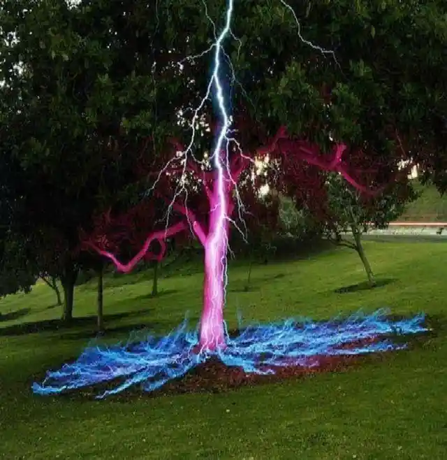Photographer Darren Pearson captured this incredible long exposure shot of lightning striking a tree... or did it?