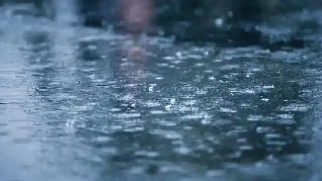 The Struggle Continues