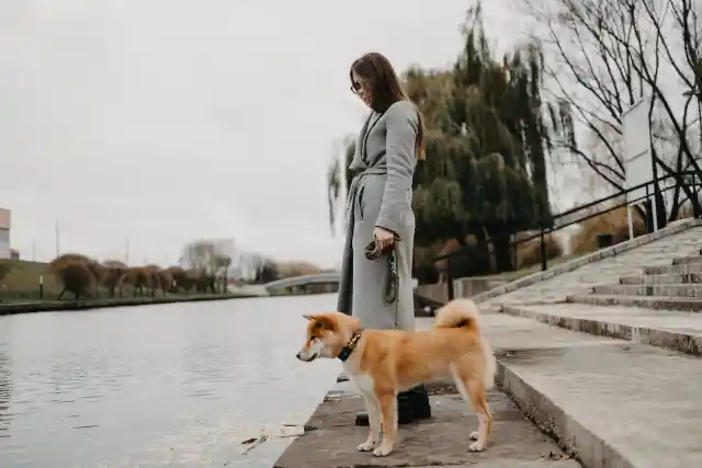 8. Overhearing Crime