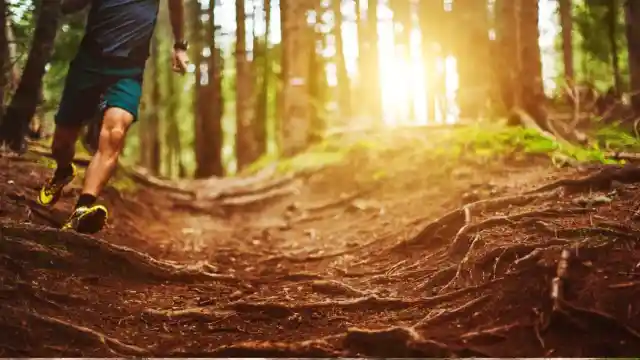 Speak Now Or Forever Hold Your Peace 