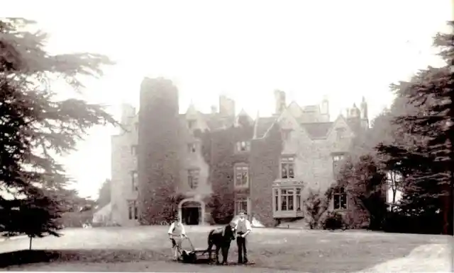 Seeking Advice from Authorities