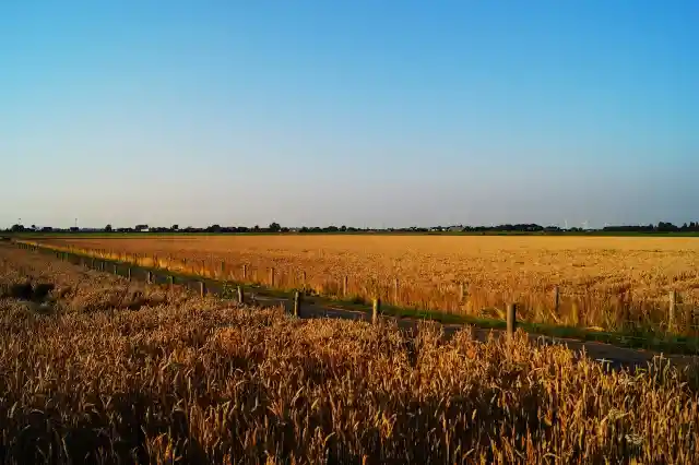 42. Just Like a Horror Film