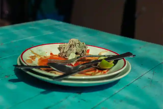 What About The Shelter?