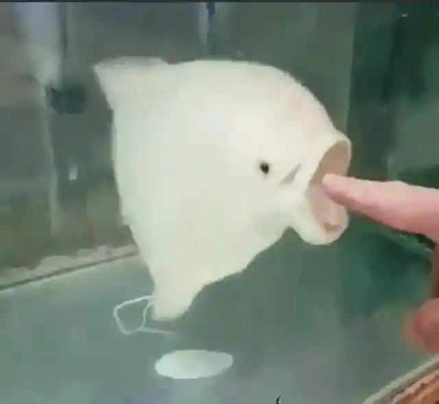 Oh no oh no oh NOOOO