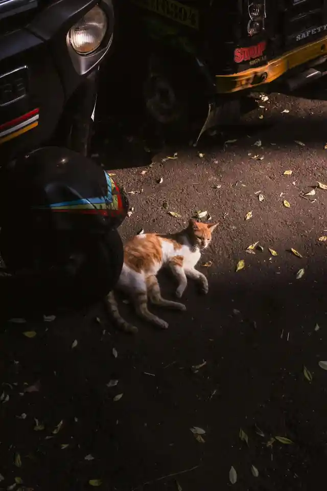 30. Crushed Innocence