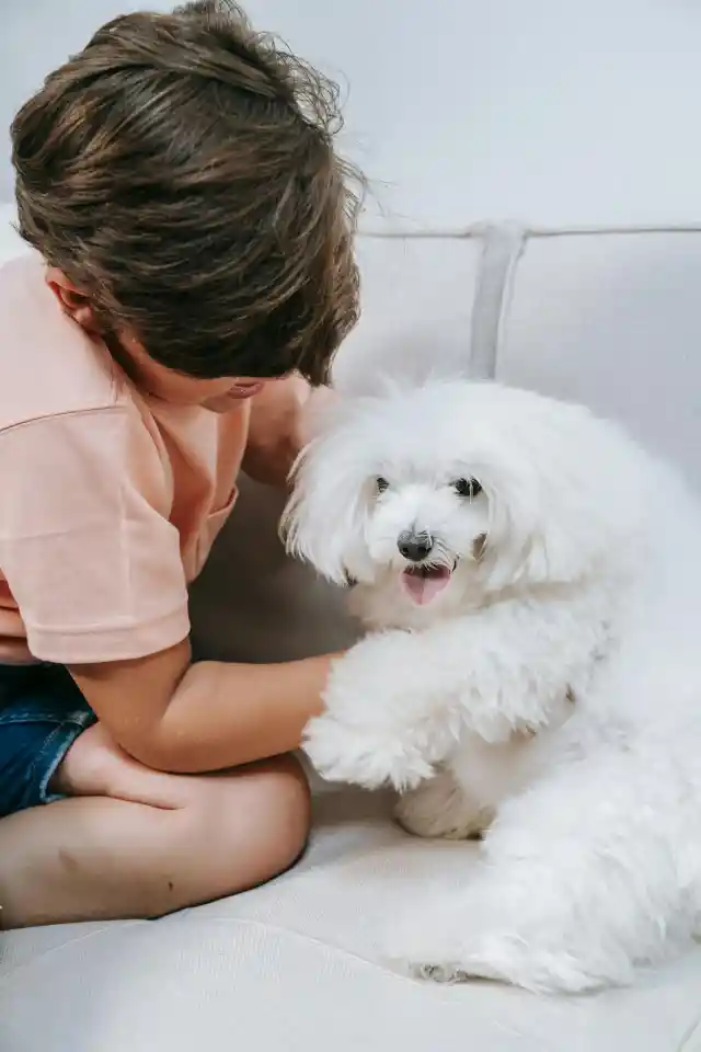 37. The Eyes Never Lies