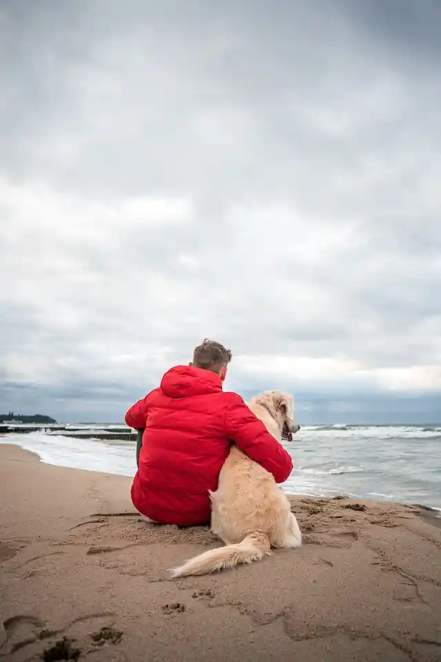 The Essence of Being a Dog