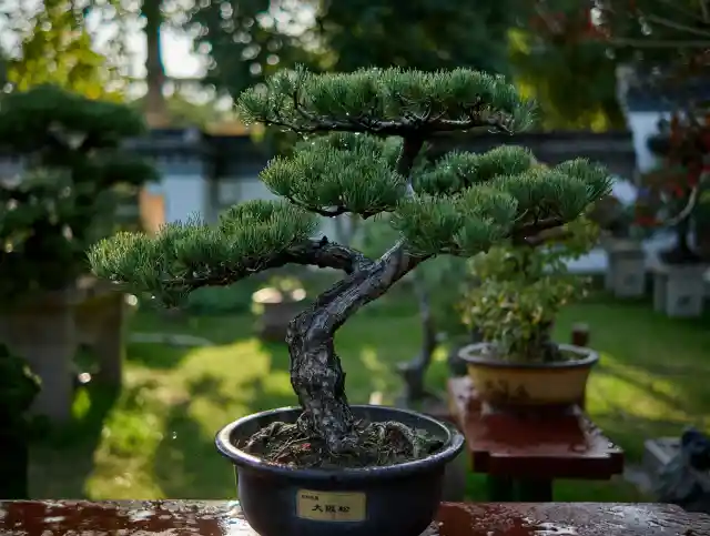 A Tiny Plot With Big Attitude