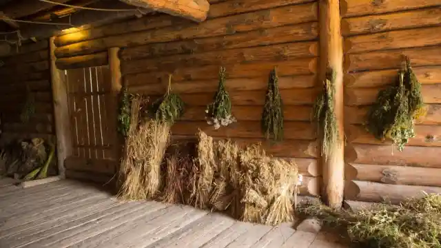 Writings Of A Madman