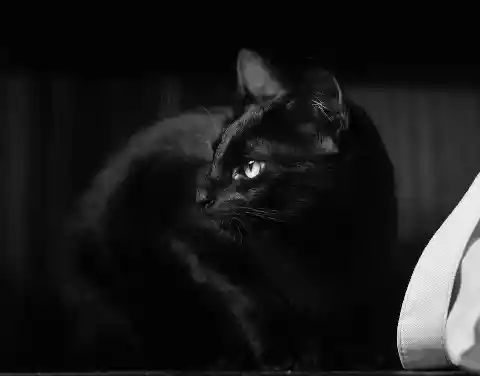 Something Bad Is Going On