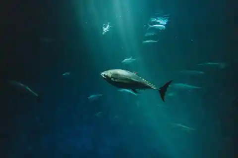 27. Creepy Encounters In The Dark