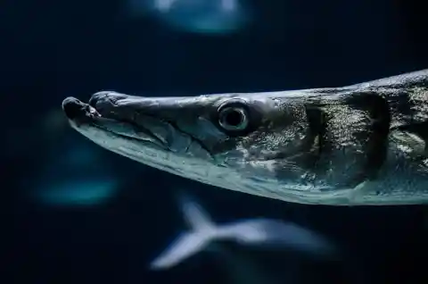 10. Enticing Sparkling Necklace