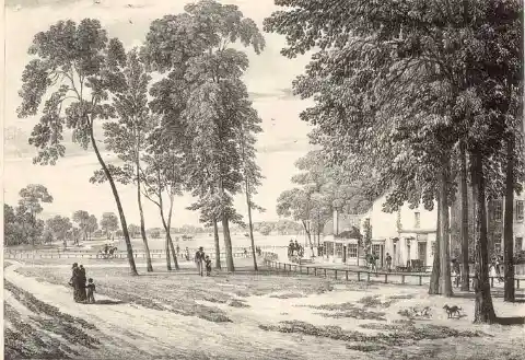 The History of Mary Willcocks