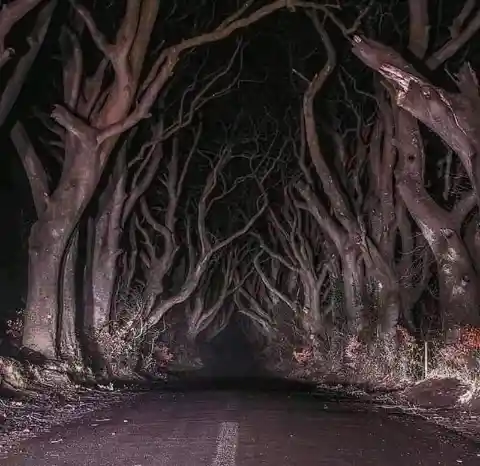 You wouldn't want to get lost on this country road in Northern Ireland