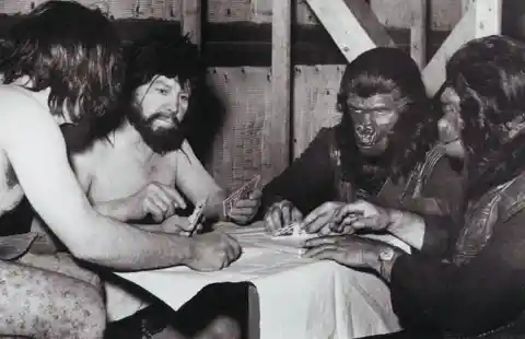 Card Game On Set Of 'Planet Of The Apes' Shows Humans And Apes Can Get Along After All