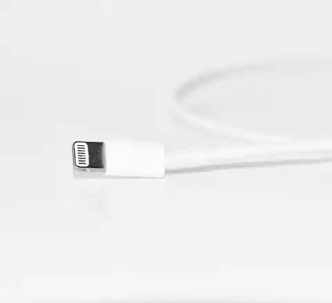 18. Where Did They Go?