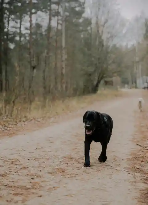 40. Myth, but On Point