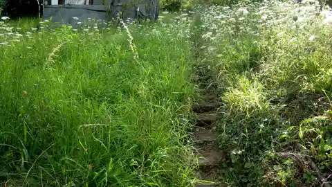 This Was The Consequences 