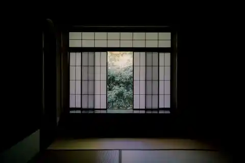 Alina’s Perspective