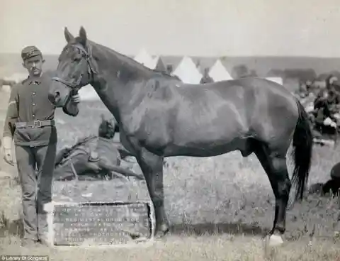 John Grabill, Wild West Photographer