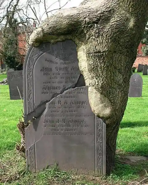 The relentless march of time