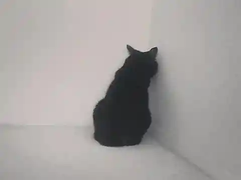 Back To The Usual Spot