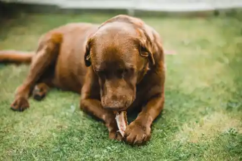 35. All Hell Broke Loose