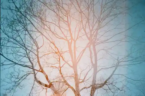 33. Rule-Bound Hurdles Galore