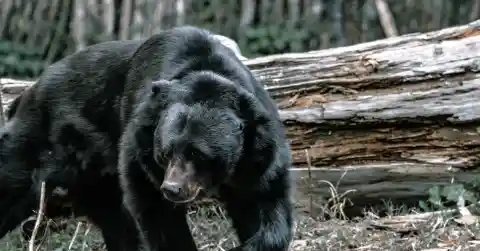 How To Deal With Them