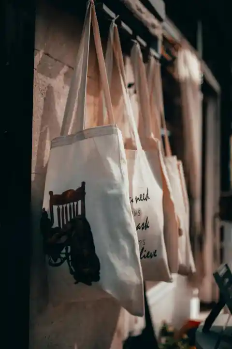 29. The Tote Bags Mistery