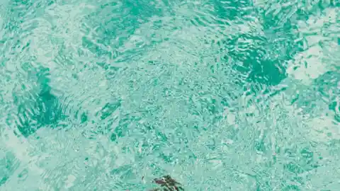 Plotting His Next Move 